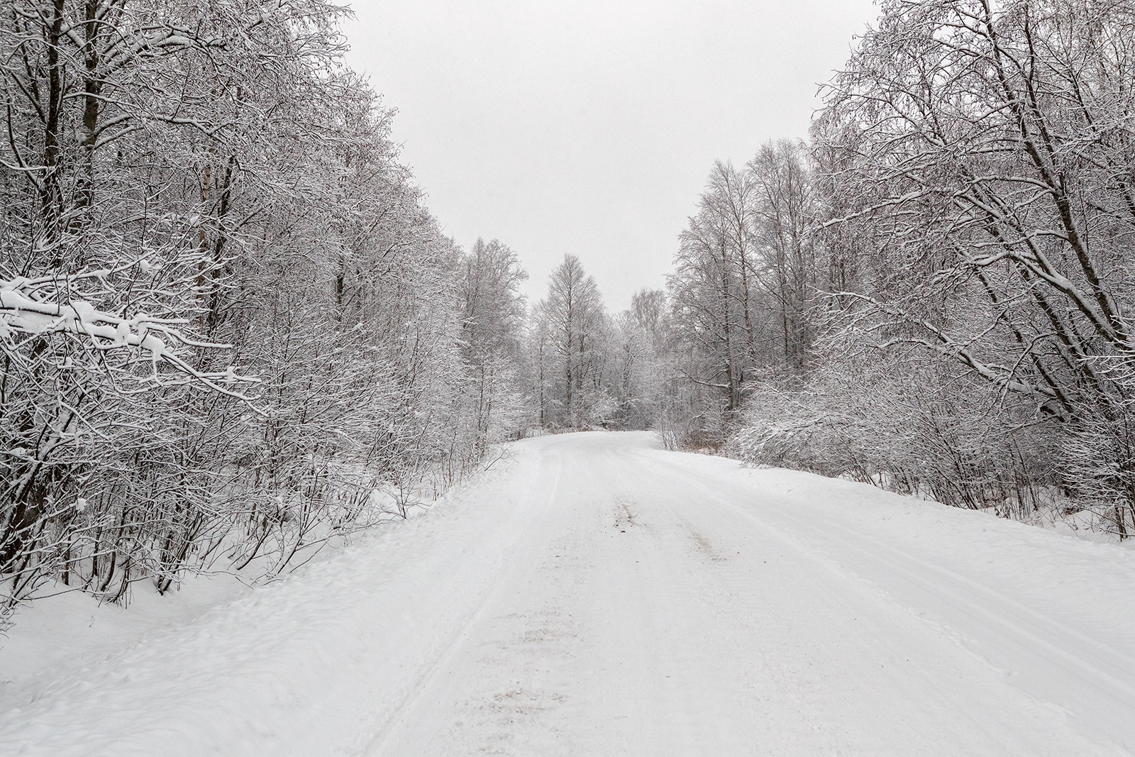 3 января 2014 г. Кондопожский район зима. Кондопожский район красивые фото зима.
