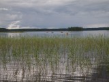озеро Сяпчозеро