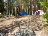 лагерь в Карельском сосновом бору