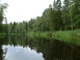 Тихая спокойная река Сяпся в Карельской глуши