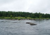 Каменистая река Шуя