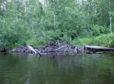 Боброхатка на реке Сяпся