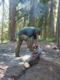 Заготовка дров
