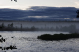 Туман на берегу реки Онда