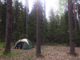 Ночевка в палатке в лесу