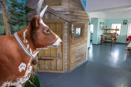 %CC%F3%E7%E5%E9%20%EA%EE%F0%EE%E2%FB.%20%CC%E5%E3%F0%E5%E3%E0.%20%CE%EB%EE%ED%E5%F6%EA%E8%E9%20%F0%E0%E9%EE%ED%20%CA%E0%F0%E5%EB%E8%E8.