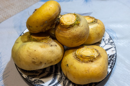 %CF%E0%F0%E5%ED%E0%FF%20%F0%E5%EF%E0.%20%D1%EE%E2%F0%E5%EC%E5%ED%ED%EE%E5%20%EF%F0%EE%F7%F2%E5%ED%E8%E5%20%F1%F2%E0%F0%E8%ED%ED%EE%E3%EE%20%F0%E5%F6%E5%EF%F2%E0.